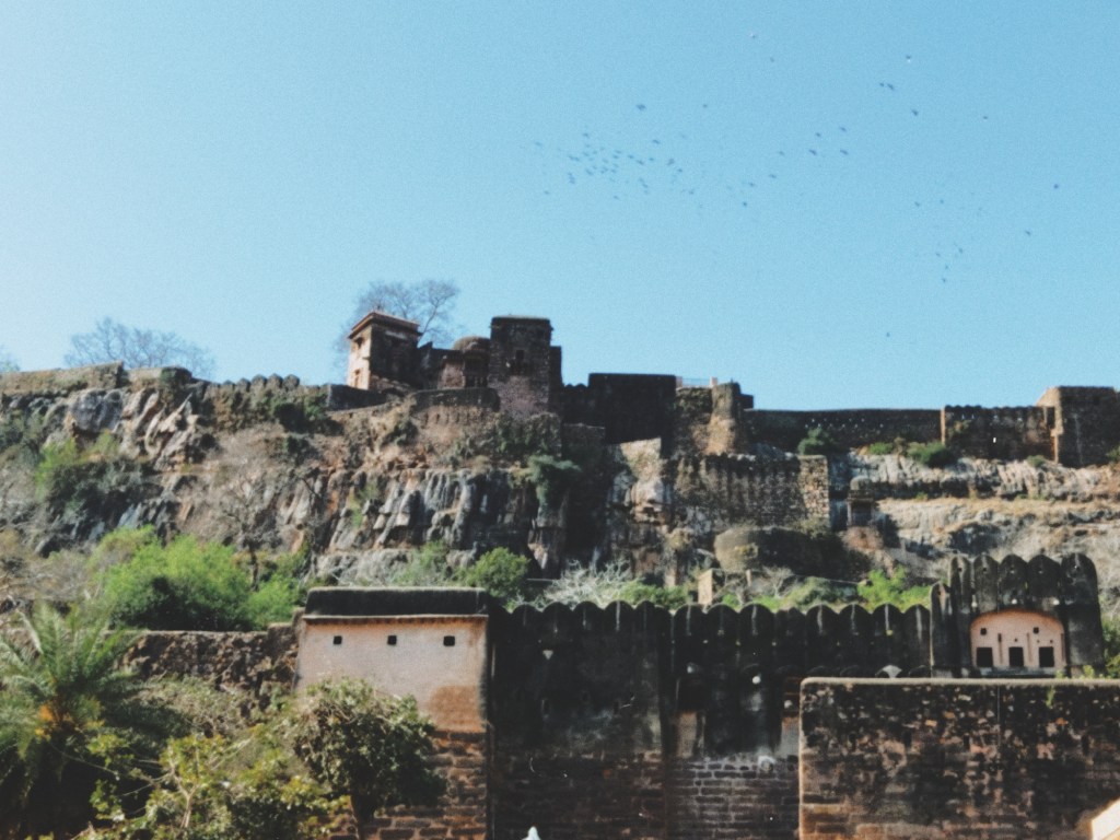 RANTHAMBORE, RAJASTHAN